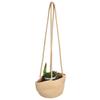 Hanging Flower Basket Woven Basket Suspended Flowerpot Plant Storage Containers for Plants Vegetables Fruits Cosmetics