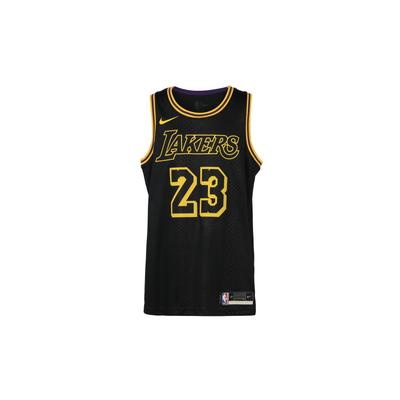 Nba Lakers Lebron James Swingman Jersey DJ1433-011