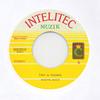 7inch Record WHITE MICE  Try A Thing BRWM3 Basic Replay 2006 Germany Reggae Ska  Dub Used