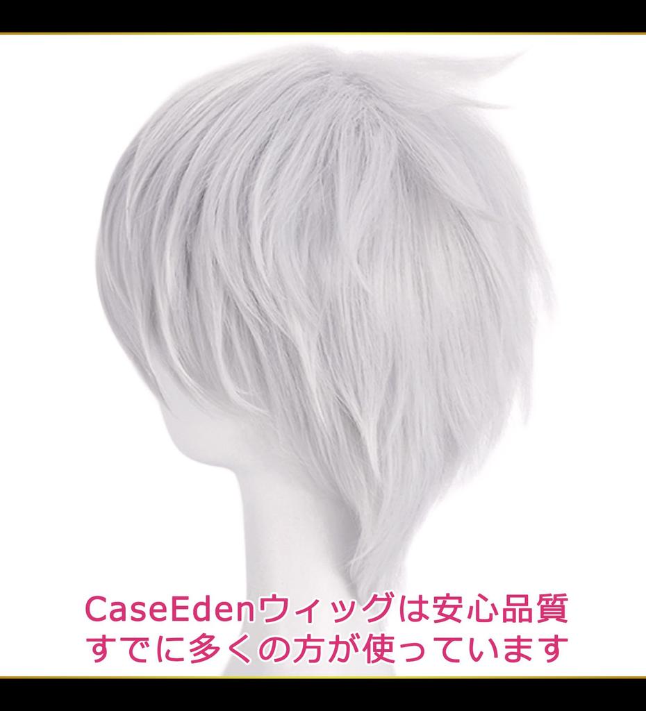 CaseEden Cosplay Wig, Premium, Cool Short Hair, Silver, 6054