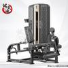 Jianwu Po Commercial Strength Training Equipment