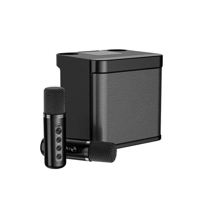 Portable Karaoke Machine Professional Dual Wireless Microphone Integrated Singing Machine Family KTV Audio Set for Adult and Kid