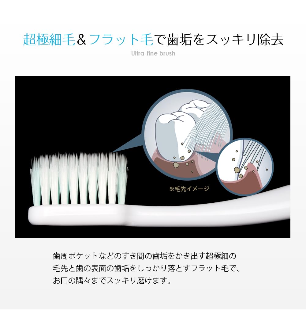 Gap Cleaning Set of 6 Dr. Beaver's Toothbrush, Regular, [UFC Supply] [Toothbrush] [Dr. Beaver] [Beaver Toothbrush]