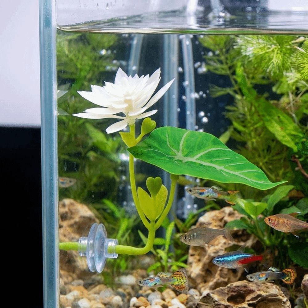 Simulated Lotus Leaves Betta Fish Floating Bed with Suction Cup Fish Hammock  Betta Fish Tank