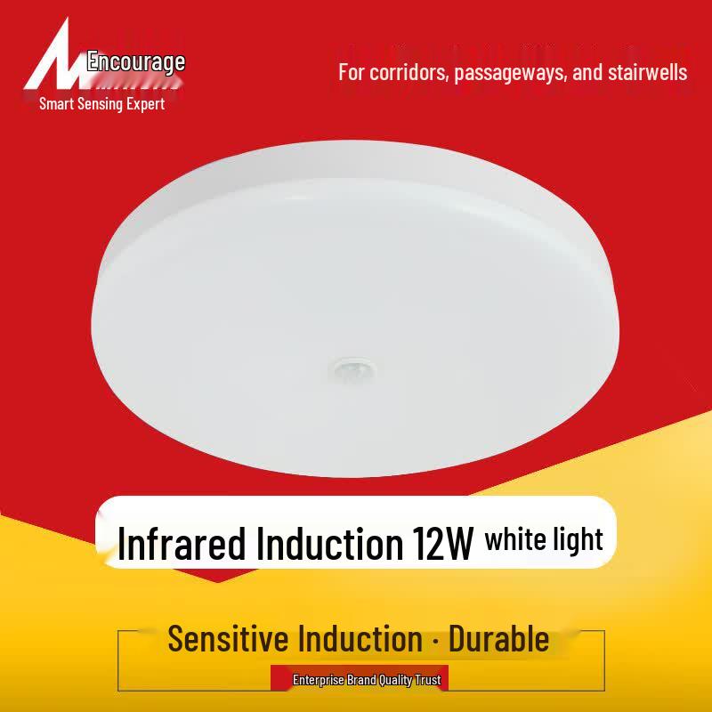 MaoDao LED Infrared Motion Sensor Ceiling Light