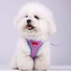 & Small Dog Leash Set - Outdoor Pet Vest for Puppies & Kittens