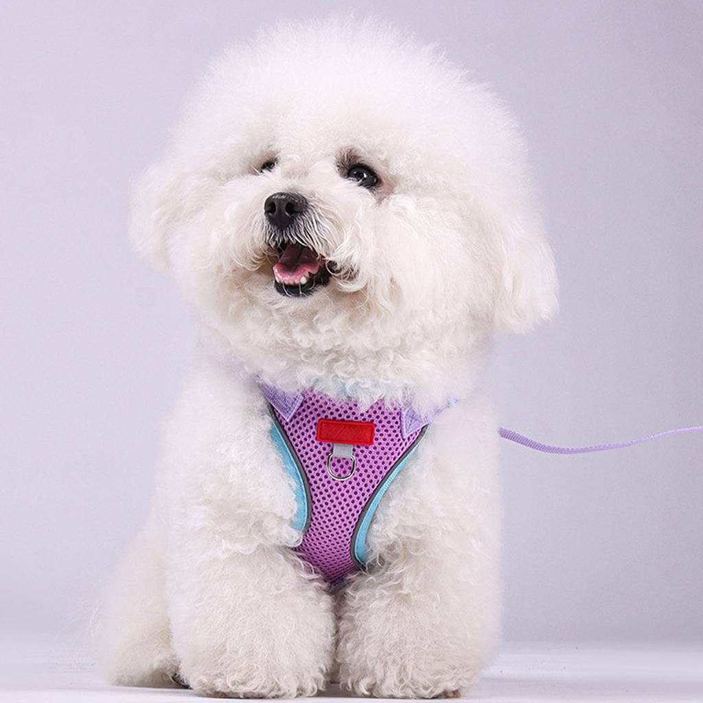 & Small Dog Leash Set - Outdoor Pet Vest for Puppies & Kittens