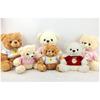 Teddy Cartoon Bear Plush Toy Daisy Pattern Tops Take Off Pp Cotton Gift Children