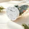 Christmas Message in A Bottle with Playback Voice Message Keepsake Home Display Sentimental Gifts for Recording Holiday Sound