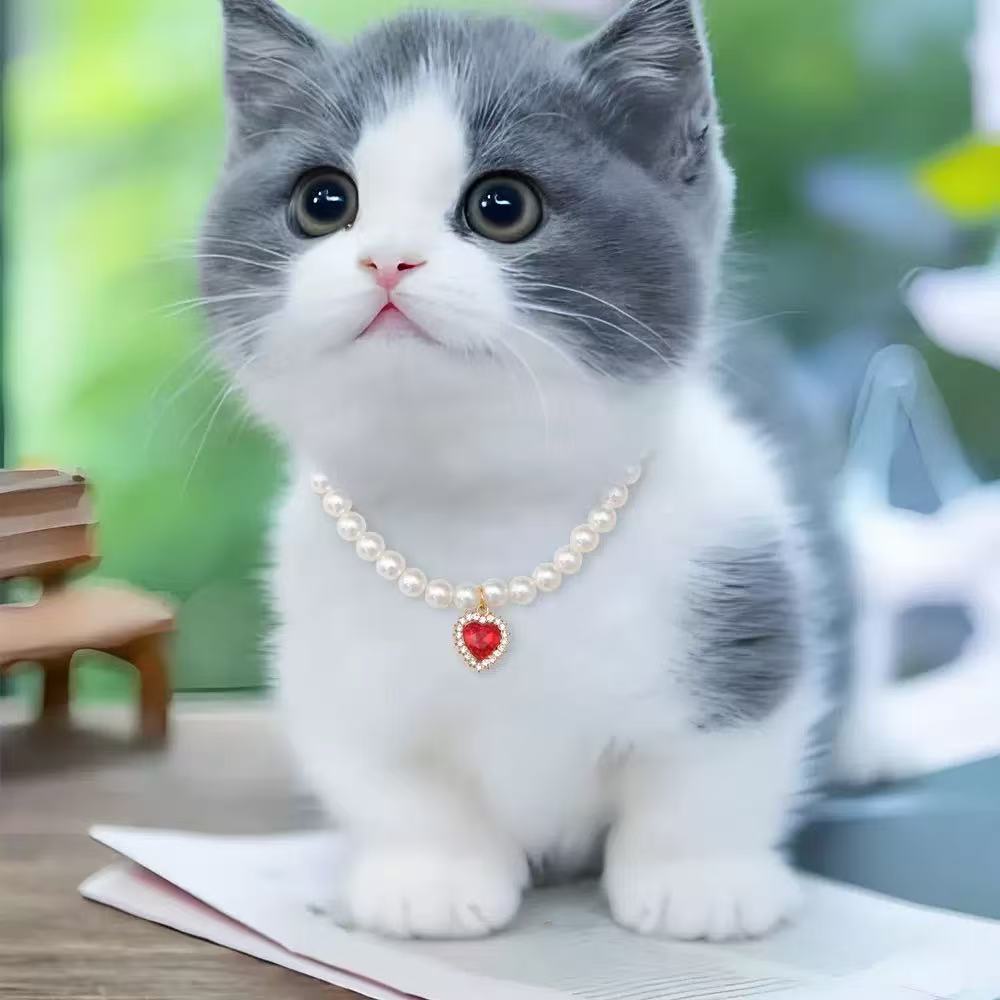 Fashion cat and dog pet pearl necklace accessory colorful love diamond pendant cat cat dog neck chain cute