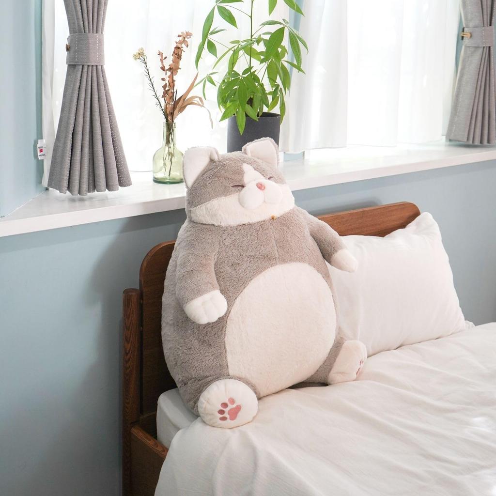 Livheart Body Pillow, Big Size, Cat Positivity, Tabby Katsuo (Length: Approx. 58cm), Cute Cat Plush Toy, Cat Merchandise, 27720-73