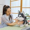 Cute Standing Husky -50cm
