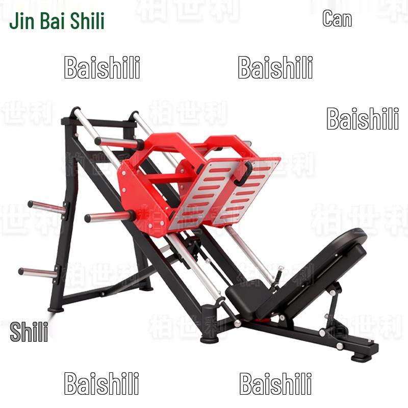 Baishili Multi-functional 45-Degree Leg Press Machine