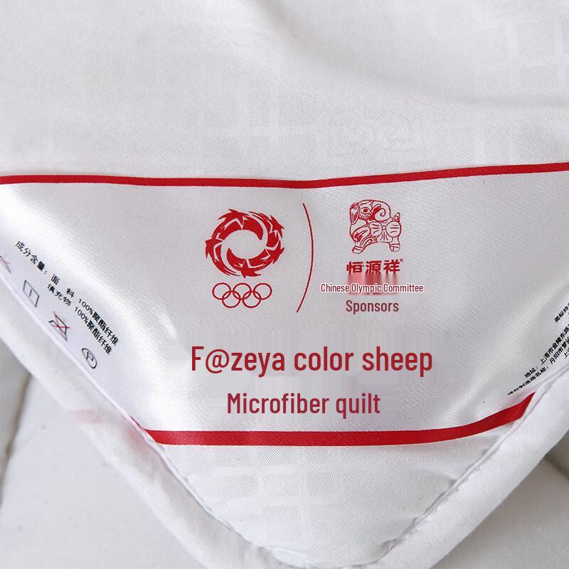 Fazeya All-Season Thickened Quilt