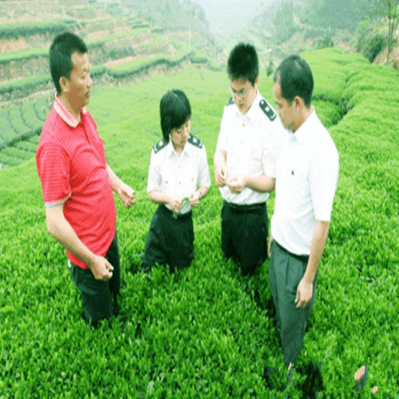 100g Chinese Ripe Puer Tea Yunnan Mini Puer Black Tea Organic Tea Healthy Drink