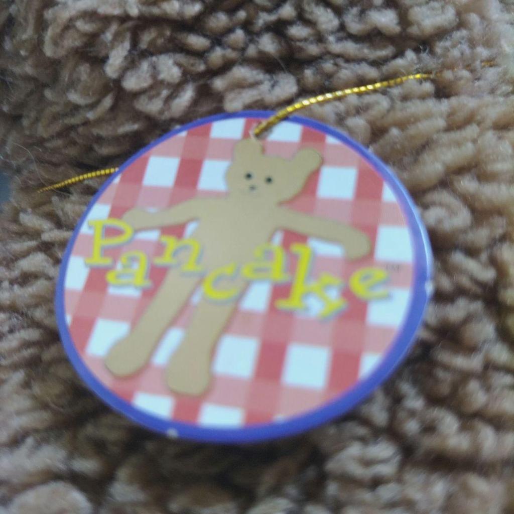 [USED] Rare Pancake Flat Teddy Bear Brown 1994