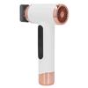 Hair Blow Dryer Wet and Dry Use 200W Powerful Hair Dryer Portable Multifunctional Pet Blow Dryer for Travel