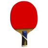 Double Fish 5A+E Table Tennis Racket (Single)