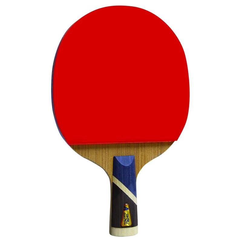 Double Fish 5A+E Table Tennis Racket (Single)