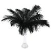 10Pcs 15-20cm Ostrich Feathers Plume Craft Centerpiece Wedding Party Decor Black