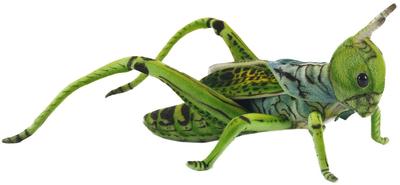 BH6879 HANSA Grasshopper Green 27cm