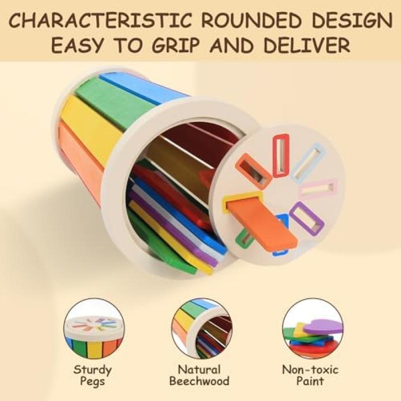 Baeroly Montessori Toys Wooden Color Shape Sorting Toy for Toddlers 12-36 Months Educational Sensory Play Kids Gift