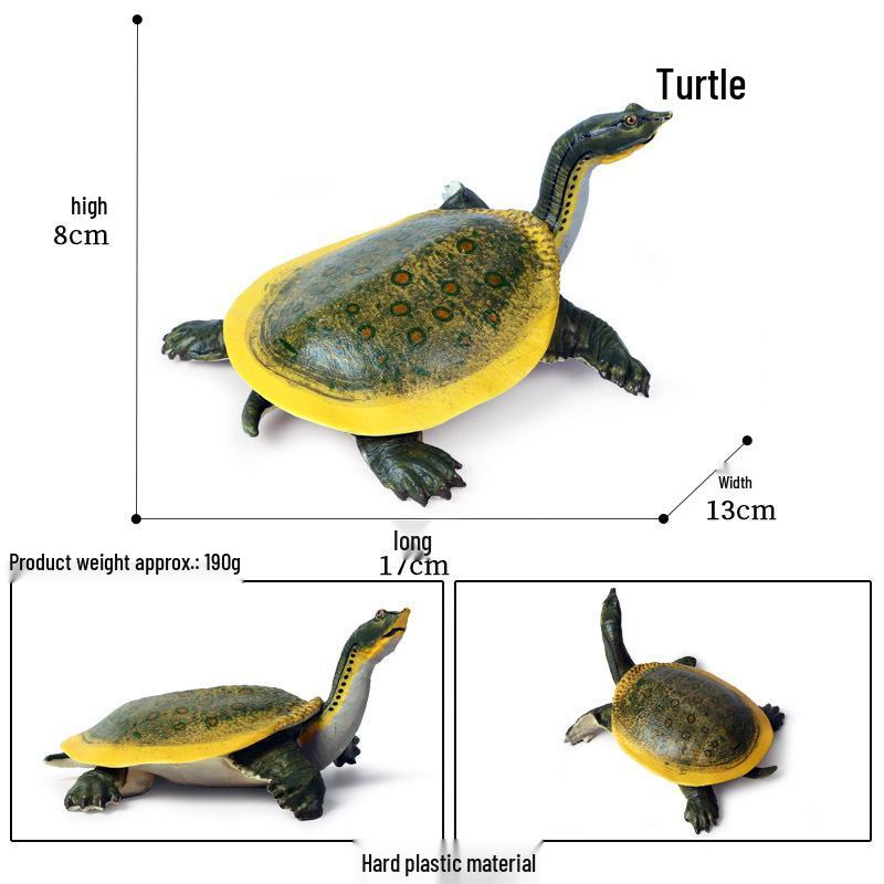 Children's Cognitive Marine Animal Models: Sea Turtle and Tortoise Toys