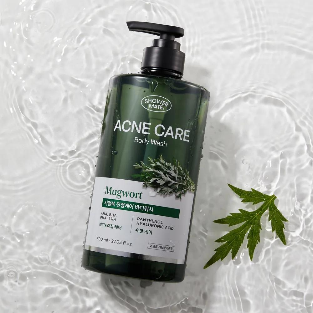 Shower Mate Acne Care Body Wash 800ml (Artemisia/Frozen)