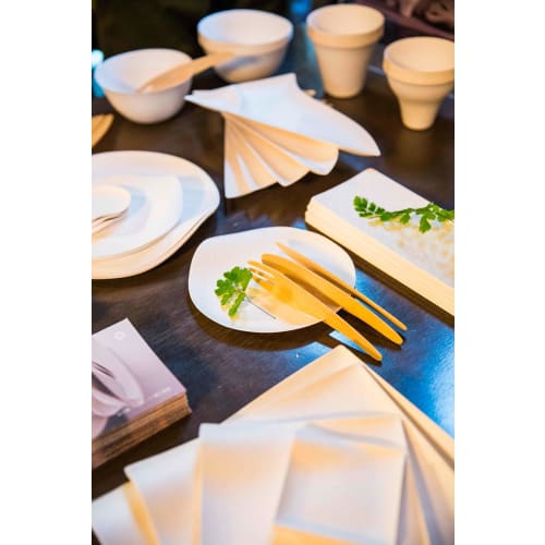 WASARA Long Plates, White, 30cm, 6 Pieces, DM-014R