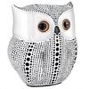Modern Classy Lucky Owl Resin Art Figure Showpiece -(Pack of 1, White)