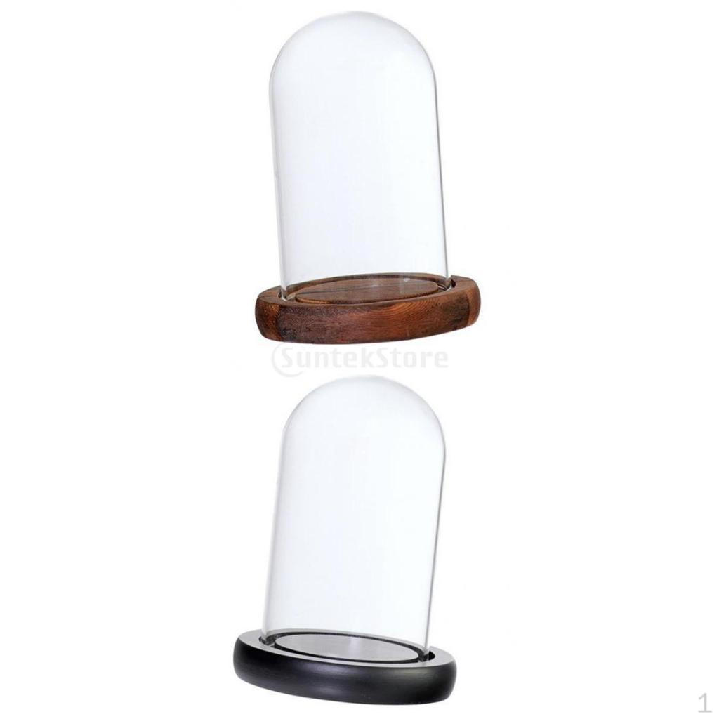 

2 Pieces Cloche with Wooden Base Flower Landscape Holder Covers