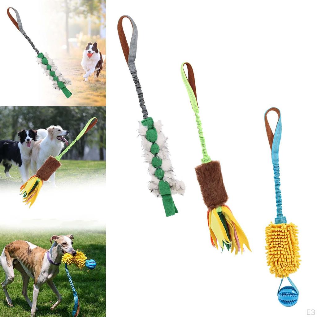 Dog Toy for Interactive Play and Training