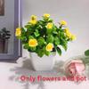 Flowers Eighteen Simulated Daisy Pine Cone Artificial Green Plant Potted Plant