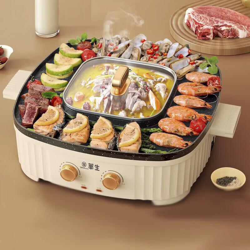 Wahson Multifunctional Electric Hot Pot & Grill CN plug (adapter included)