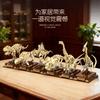 Compact size High-Quality Building High-Quality Blocks High-Quality Dinosaur High-Quality Skeleton Building design Construction set Self-assembly