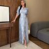 2026 Spring New European, American and Amazon Cross-border Foreign Trade Women's V-neck Waist Cardigan Printed Long Dress Temperament Dress