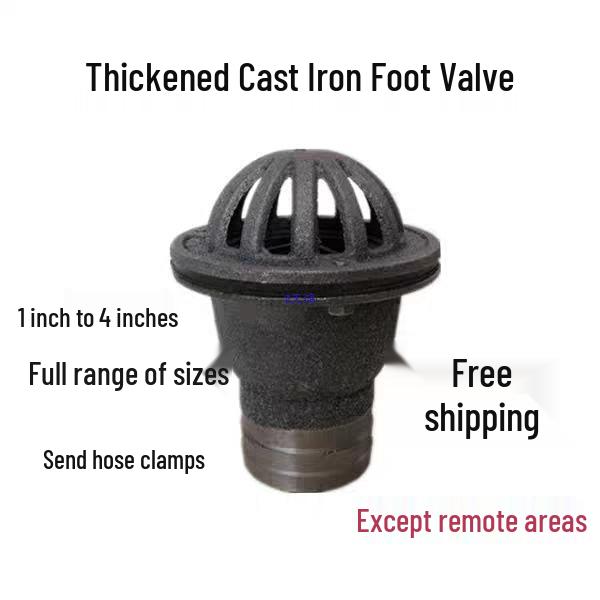 Cast Iron Self-Priming Foot Valve & Check Valve for Shower Heads, 1-4 Inch Sizes Available