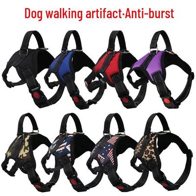 Hondenriem en Halsband Tuig Set voor Kleine, Middelgrote en Grote Rassen - Ideaal voor Franse Bulldogs, Golden Retrievers en Poedels