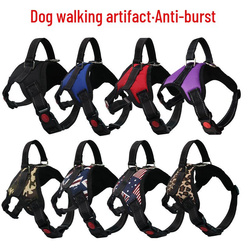 Dog Leash and Collar Harness Set for Small, Medium, and Large Breeds - Ideal for French Bulldogs, Golden Retrievers, and Poodles