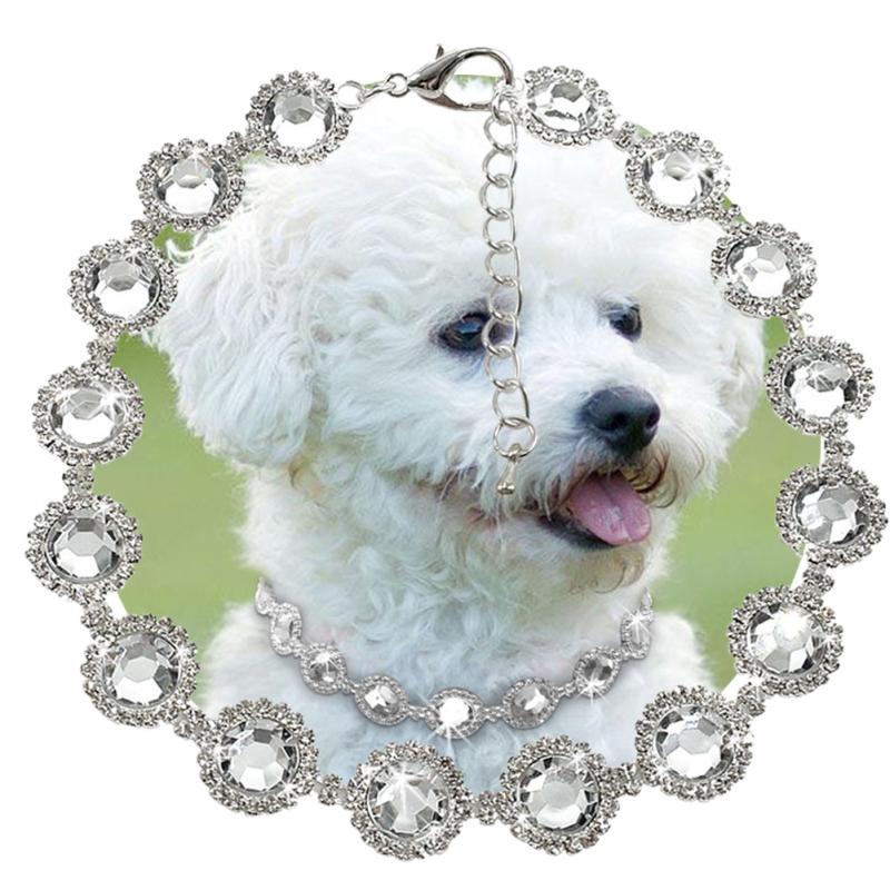pearl dog collar