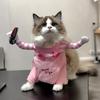 Halloween Cat Dog Costume Funny Cute Cosplay Clothes For Small Big Dogs Cats Pug Labrador  Outfits With Knife Festive Dress Up