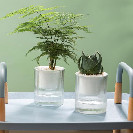 1/2Pcs Self Watering Pot with Drainage Holes Transparent Reservoir Indoor Outdoor Plants Planting Pot Herbs Succulents Flower Planter with Wick Rope