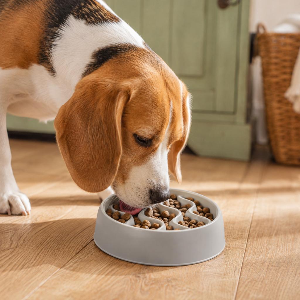 Pet Slow Feeder Bowl for Dogs and Cats, Interactive Puzzle Feeding Bowl to Help Slower Eating