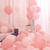 Macaron Pastel Party Balloons 10-inch (100 Count)