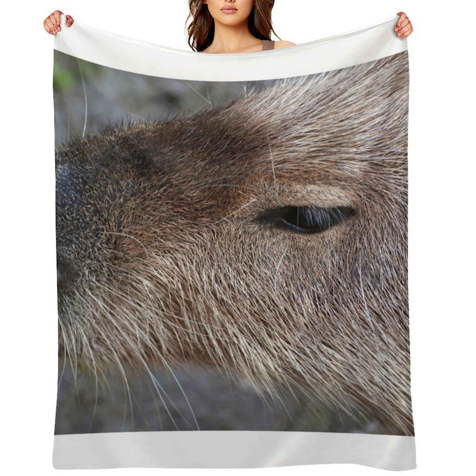 Capybara Throw Blanket Nap Luxury Brand Softest valentine gift ideas Blankets 30x40in