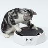 Interactive Cat Turntable Electric 2 Speed Adjustable Automatic Puzzle Catch Mouse Play Cat Toy for