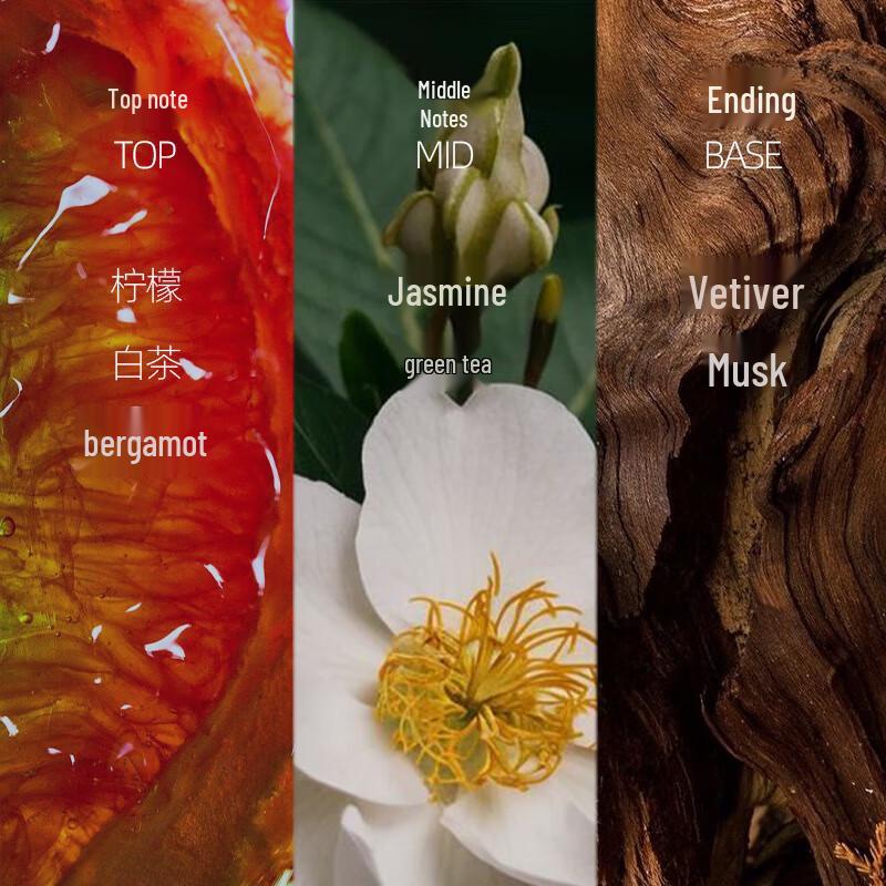 Ocean Supreme Oil Control Fragrance Shower Gel 3-Pack