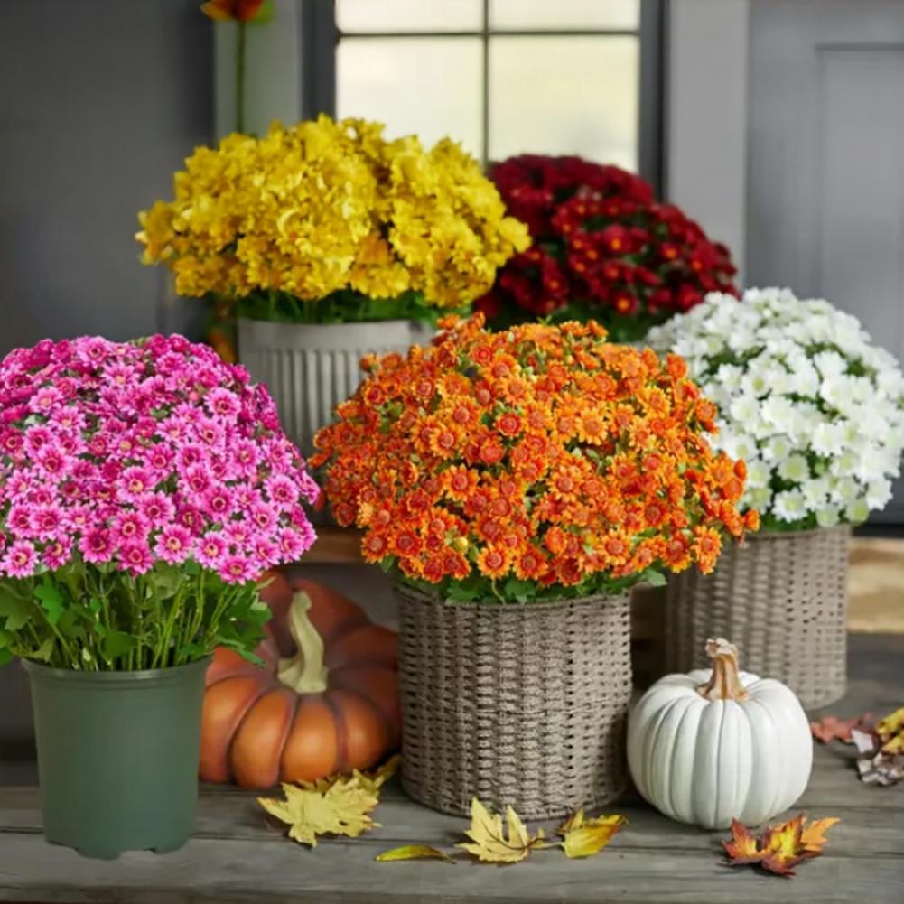 Outdoor Artificial Flowers Fake Silk Chrysanthemum Bundle Simulated Flowers Autumn Uv Resistant Thanksgiving Halloween Decor