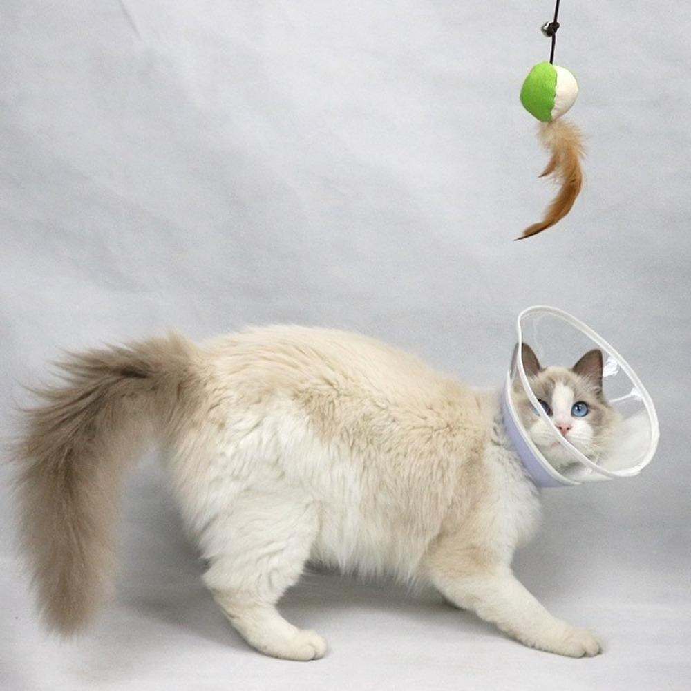 Soft Pet Protective Collar Clear Cat Elizabethan Ring Reusable Cat Recovery Cone Collar  for Neck