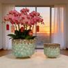 Nordic Retro Phalaenopsis Ceramic Flower Pot - Large Elegant Decor for Home, Wedding, and Spring Celebrations.